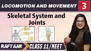 Locomotion and Movement 03 || Skeletal System and Joints|| Class11/NEET RAFTAAR
