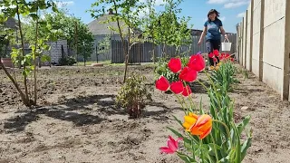 ПРАЦЮЄМО З МАТУСЕЮ НА ГОРОДі. ОГіРКИ АРТИСТ і САТіНА.