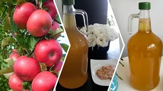 Elma Sirkesi Tarifi Damla Su Yok En Sağlıklı Doğal herderde #Şifa #Elma #apple #vinegar #natural 🍎🍏👌