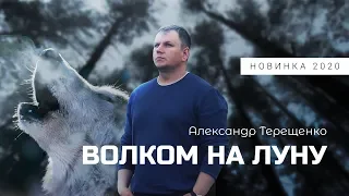 ПРЕМЬЕРА! ПОСЛУШАЙТЕ! Волком на луну Александр Терещенко