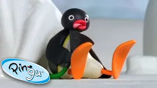 Pingu Plays with Science! | Pingu Official | Cartoons for Kids