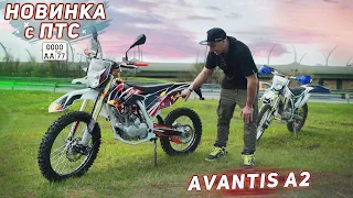 Новые Avantis A2 с ПТС. Когда нет денег на FX Lux 250.