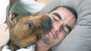 Best Funny Dogs Waking Up Owners