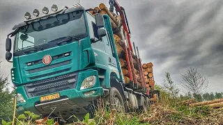 Tatra Phoenix Timber Truck | Dead Forest