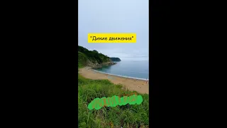 Прыжки в воду, город Находка. Бухта Морские глубиныcliffdiving. #shorts