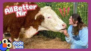 Let’s Make This Cute Cow A New Leg! | Dodo Kids | All Better