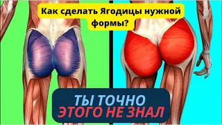 Можно ли поменять форму ягодиц | Что влияет на ягодицу