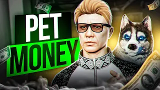 I got PETS in GTA 5 Role Play! How to make tons of money on it after the last update.