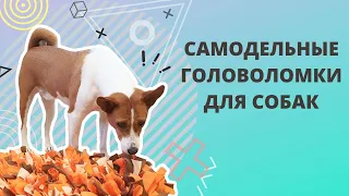 Самодельные головоломки для собак. Ментальные нагрузки. Игры для собак