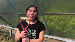 Documental - Mi escuela rural Eliana Triviño Márquez