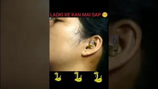 Ladki Ke Kan Mai Sap 😵‍💫😵‍💫 || #viral #short #shorts