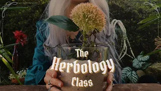 The Herbology Class ASMR 🌿 Cinematic Witch Roleplay, Soft Spoken & Nature Sounds at Hogwarts