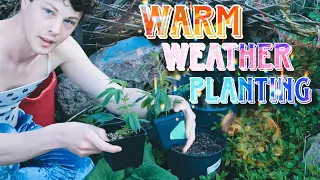 Warm Weather Seed Planting 2024 Garden Season!