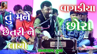 તું મને છેતરીને લાયો વાગડીયા છોરા Ghansyam Jula - Tu mane chhetri ne layo vagdiya chhora-New Dandiya