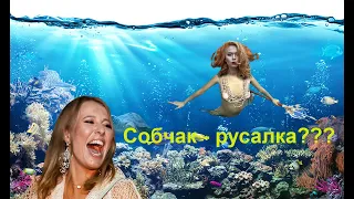 Эксцентричность на Подъеме: Ксения Собчак и ее Русская Русалочка