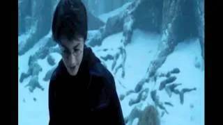 Harry Potter & The Inbetweeners - FRIEND