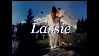 Lassie - Episode #386 - "Lassie Meets a Challenge" - Season 12, Ep 1 - 09/12/1965