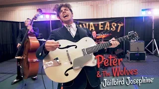 'Jailbird Josephine' PETER & THE WOLVES (Viva East) BOPFLIX sessions