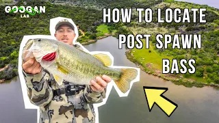 How To LOCATE and CATCH MORE POST SPAWN BASS! ( BASS FISHING TIPS)