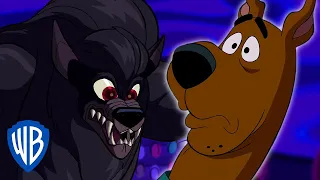 Scooby-Doo! | Scooby-Doo's a WEREWOLF! | WB Kids