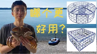 西雅图抓螃蟹 | 如何选蟹笼 | how to choose the crab traps