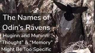 The Names of Odin's Ravens