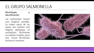 BACILOS GRAMNEGATIVOS ENTÉRICOS 2- Microbiología