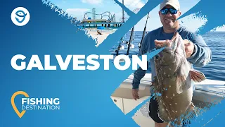 Galveston Fishing: All You Need to Know | FishingBooker