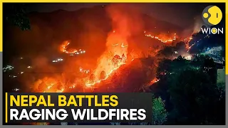 Nepal battles raging wildfires across the country | Latest English News | WION