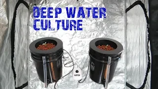 How to Build an Easy Hydroponic Deep Water Culture DWC Bucket System
