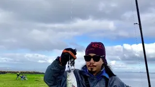 Auckland New Zealand Lure Fishing