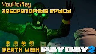 Payday 2. Как пройти лабораторные Крысы.Жажда смерти.Death Wish. Trick or Treat!