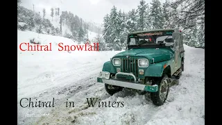 Chitral live | Chitral snow update | Chitral snowfall  | Chitral in winters  #snowfall #winter