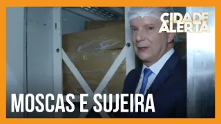 Patrulha do Consumidor: Supermercado que vende produtos mal armazenados e expirados é denunciado