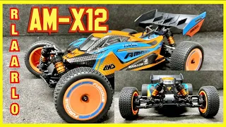 The NEW AM-X12 1/12 Scale RLAARLO 4wd Race buggy FIRST LOOK