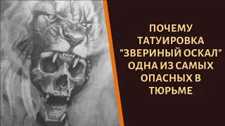 Что означает тюремное тату "Звериный оскал"?