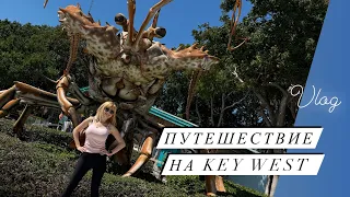 Vlog: 🇺🇸АМЕРИКА СЕГОДНЯ 🫶ПУТЕШЕСТВИЕ НА KEY WEST 2024