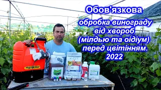 Обов'язкова обробка винограду перед цвітінням!