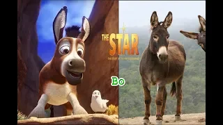 The Star Characters In Real Life - All Characters 2018 - OMG Kids