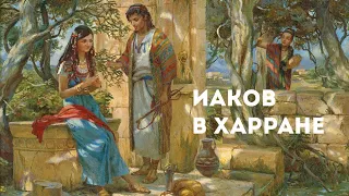 Иаков в Харране | Уроки ЧистоПисания