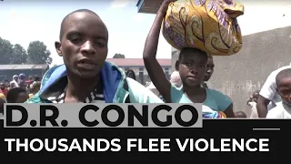 Thousands forced to flee as DR Congo violence continues