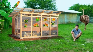 Amazing AFRICAN LOVEBIRD Farming Technique - Low-Cost African Cage, Transfering Hundreds of Ducks