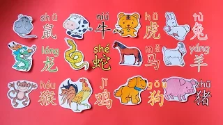 学中文动物十二生肖 | Learn The 12 Animals Of Chinese Zodiac | Aprender Los 12 Animales del Zodiaco Chino