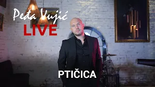 Pedja Vujic - Ptičica (COVER 2023)