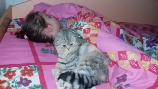 Шотландская Вислоухая Кошка и Ребенок Спят Вместе Ночью