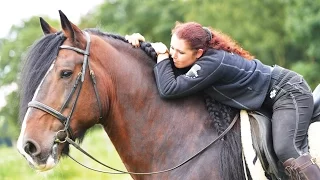 Horse keeping at APASSIONATA: The life in Stable