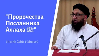 "Пророчества Пророка (мир ему и благословения)".  Шейх Захир Махмуд