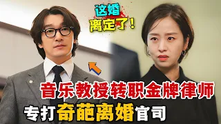 音樂教授轉戰離婚訴訟，帶你看清婚姻本質！戀愛有風險，結婚須謹慎！一口氣看完高分韓劇《離婚律師申晟瀚》。#离婚律师申晟瀚 #韩剧解说 #神圣的离婚