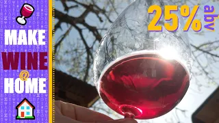 Make 25% ABV Wine at Home! 🍷🏠
