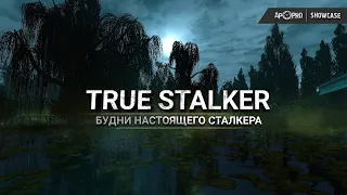 True Stalker - будни настоящего сталкера (AP-PRO Showcase 2021)